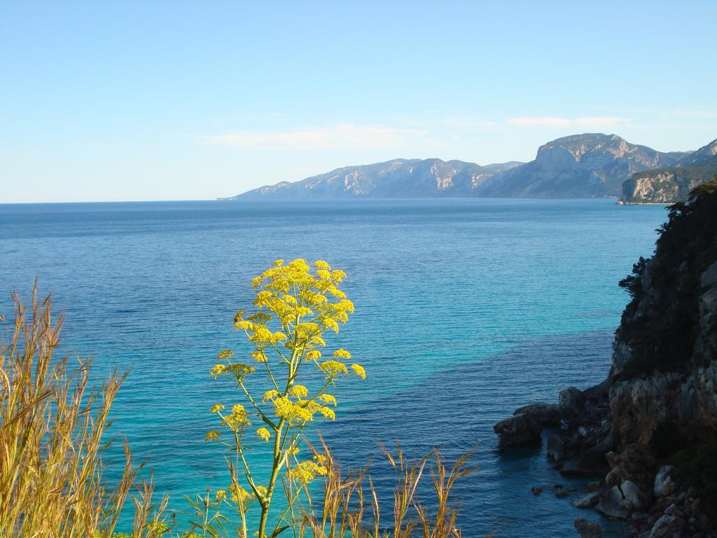 Casa Degli Oleandri Sul Cortile R6314 Lejlighed Cala Gonone Eksteriør billede